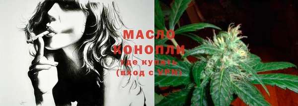 мяу мяу мука Иннополис