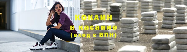 Альфа ПВП Инсар