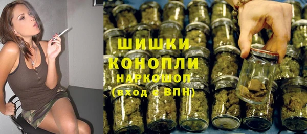 мяу мяу мука Иннополис