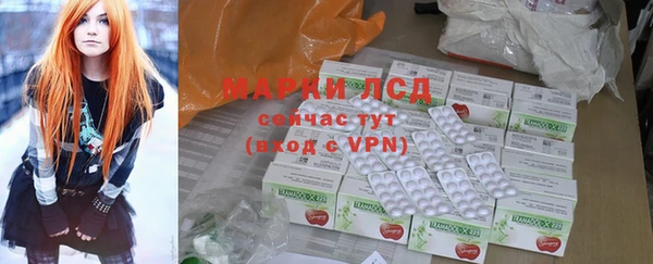 мяу мяу мука Иннополис